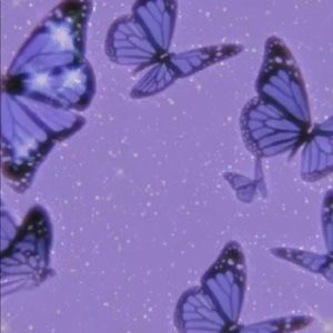 Meet your Posher, Emmajane